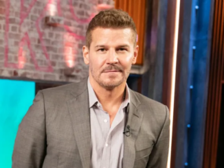 David Boreanaz Teases Juicy Secrets About a 'Bones' Revival That Fans Can't Miss