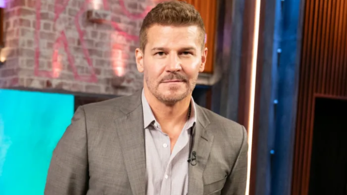 David Boreanaz Teases Juicy Secrets About a 'Bones' Revival That Fans Can't Miss