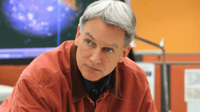 ncis-24-5-2