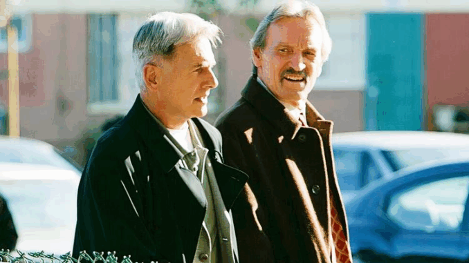 ncis-31-5-1