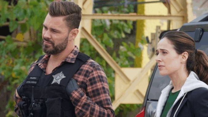ruzek-and-burgess-in-chicago-pd