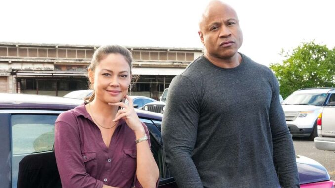 sam-and-jane-posing-in-ncis-hawa