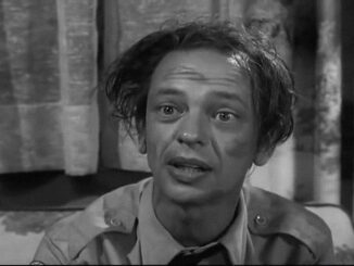 Barney And The Bloody Incident That Scared Opie