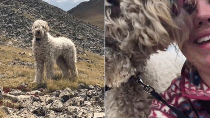 Bentley-Dog-Reunited-032524-0e13