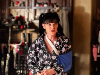 Don’t Mess with Abby Sciuto!