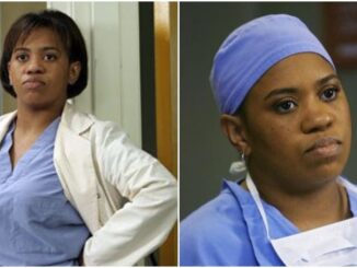 Drunk Miranda Bailey Is the Kind of Unfiltered Power That Built This Hospital