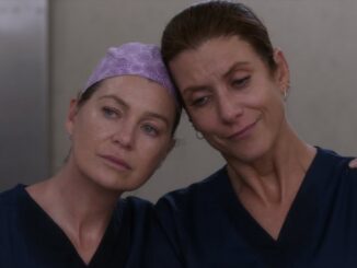 Meredith and Addison: Derek's Shared Pain