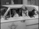 You’ve Never Heard Anyone Explain Giraffes Like Barney Fife