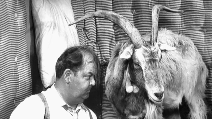 jimmy-the-loaded-goat-on-te-andy