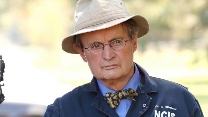 ncis-david-mccallum-2