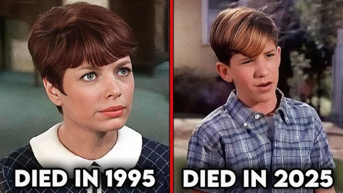 20 Andy Griffith Show Cast Members Who Are No Longer With Us