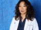 Cristina Yang Once Said What We Were All Too Afraid to Admit