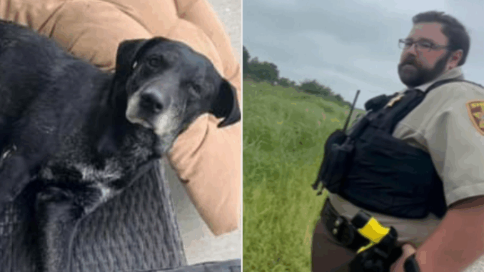 Deputy-Shoots-Dog-110323-2be4268