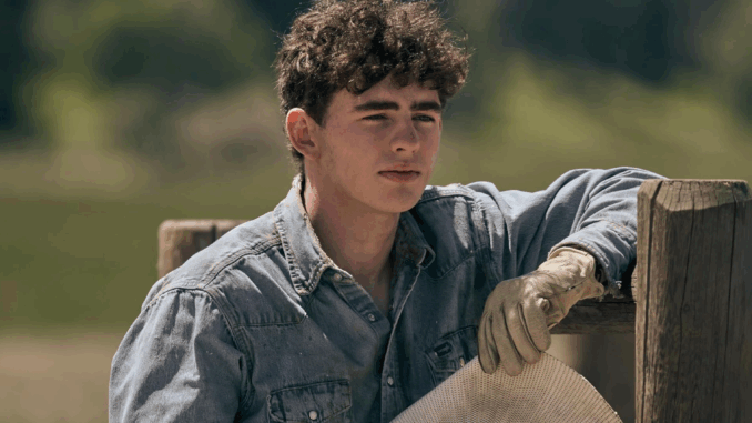 Finn-Little-in-Yellowstone