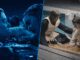 James Cameron Recreates Titanic Door Scene to Test If Jack Could Have Survived