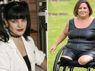 NCIS Cast Then and Now 2025 – You Won’t Believe the Transformation!