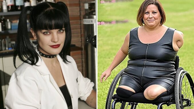 NCIS-Cast-Then-and-Now-2025-–-You-Wont-Believe-the-Transformation-2025-07-05T084733.811Z.jpg NCIS Cast Then and Now 2025 – You Won’t Believe the Transformation!