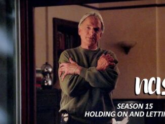 Season 15 Highlights from NCIS You Will Always Remember
