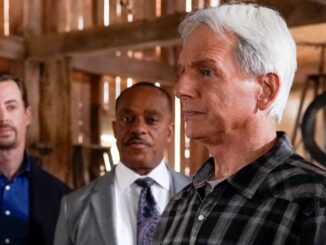 Too Many Partners Too Many Secrets Gibbs Struggles to Keep Control