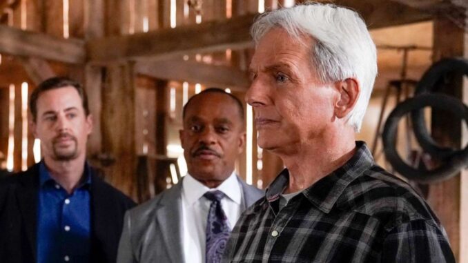 Too Many Partners Too Many Secrets Gibbs Struggles to Keep Control