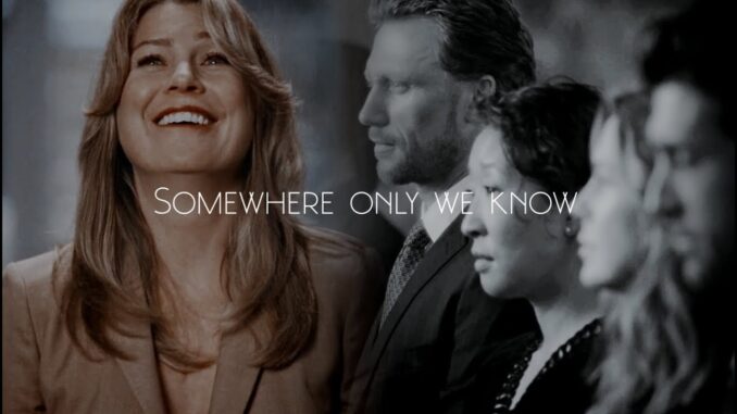 Where It All Began A Greys Anatomy Memory Lane