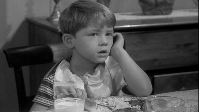 the-andy-griffith-show