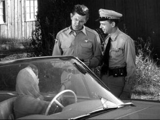 Andy travels to a nearby city to issue a summons for a traffic violation