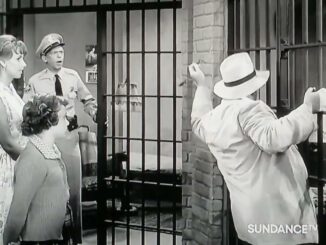 Barney’s Clever Plan to Free Otis from the Jail Cell