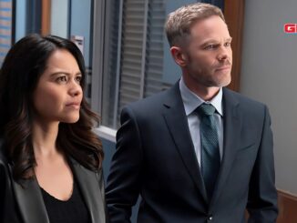 Everything to Know About The Rookie Season 8