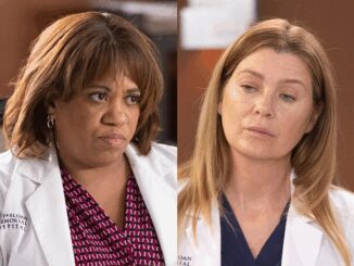 Loneliness in the Hospital Halls Meredith and Bailey Side by Side