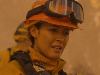 The Real Reason ABC Canceled Station 19