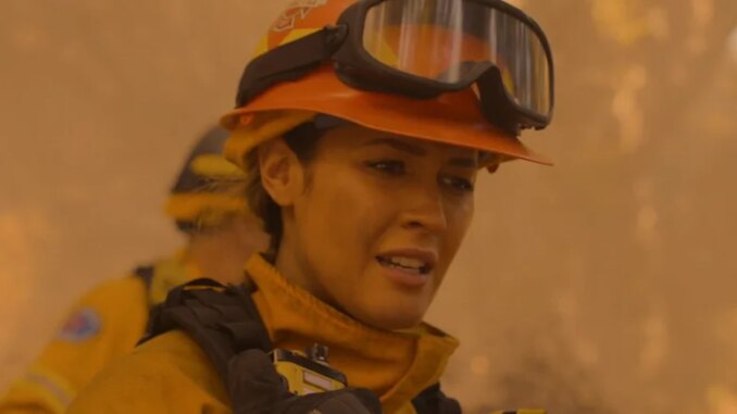 The Real Reason ABC Canceled Station 19