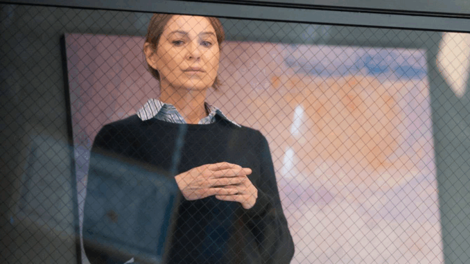 meredith-finale-1