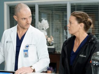 Grey Anatomy Promotes Two Actors to Series Regular in Season 17 While Another Joins Station 19 md02