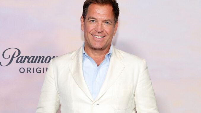 Michael-Weatherly-ncis-tony-and