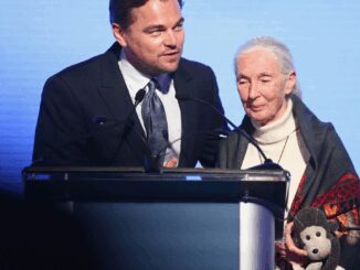 Leonardo DiCaprio Honors Jane Goodall in Emotional Tribute: A True Hero of Conservation md02