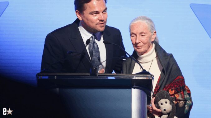 Leonardo DiCaprio Honors Jane Goodall in Emotional Tribute: A True Hero of Conservation md02