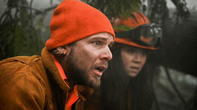 intro-1676424079-678x381