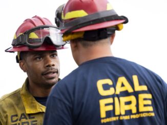 Jordan Calloway Grateful for His Big Battalion Chief Twist in Fire Country md11
