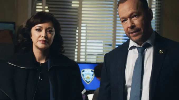 Marisa-Ramirez-Donnie-Wahlberg-blue-bloods-102725-1d2af201cece4b71be087781c4a082c5