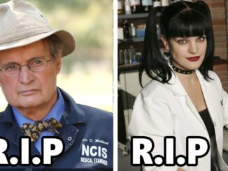 32 NCIS Actors Who Sadly Passed Away