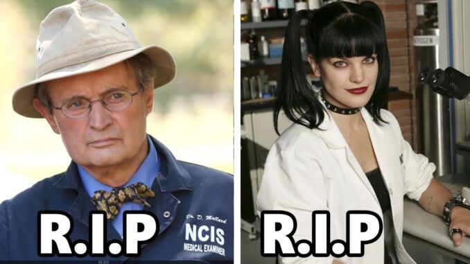 32 NCIS Actors Who Sadly Passed Away