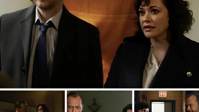 680133236 122276321360162184 2859779555541546265 n