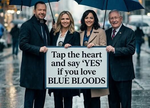 681021036 1624971332060214 4134489287239328331 n