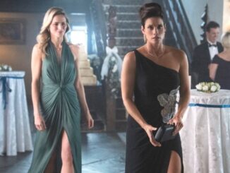 Shantel VanSanten as Nina Chase