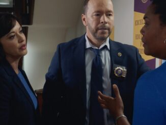 Blue bloods season 14 episode
