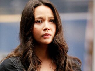 Lucy chen in the rookie