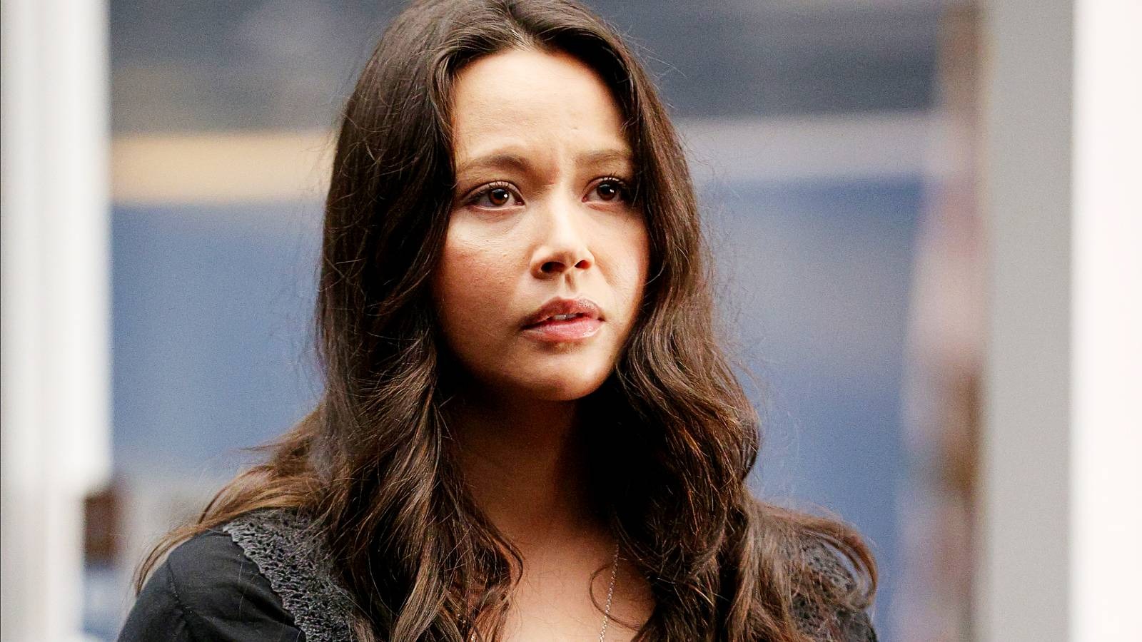 Lucy chen in the rookie