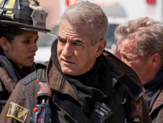 Chicago fire dermot mulroney