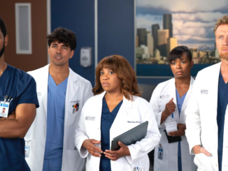 Grey s anatomy season 22 cast